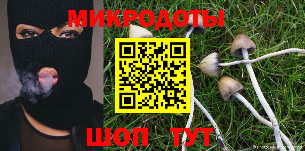 Галлюциногенные грибы MAGIC MUSHROOMS Ртищево