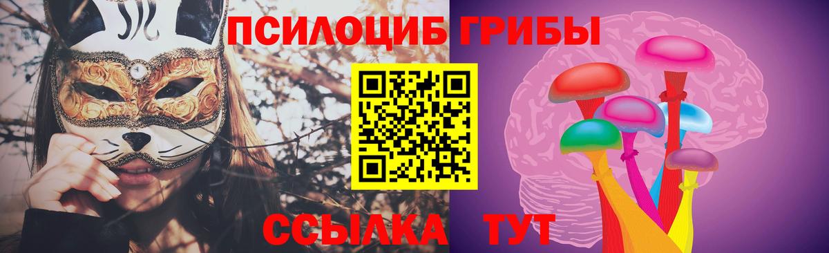 Псилоцибиновые грибы Cubensis  Вход с VPN  Ртищево 