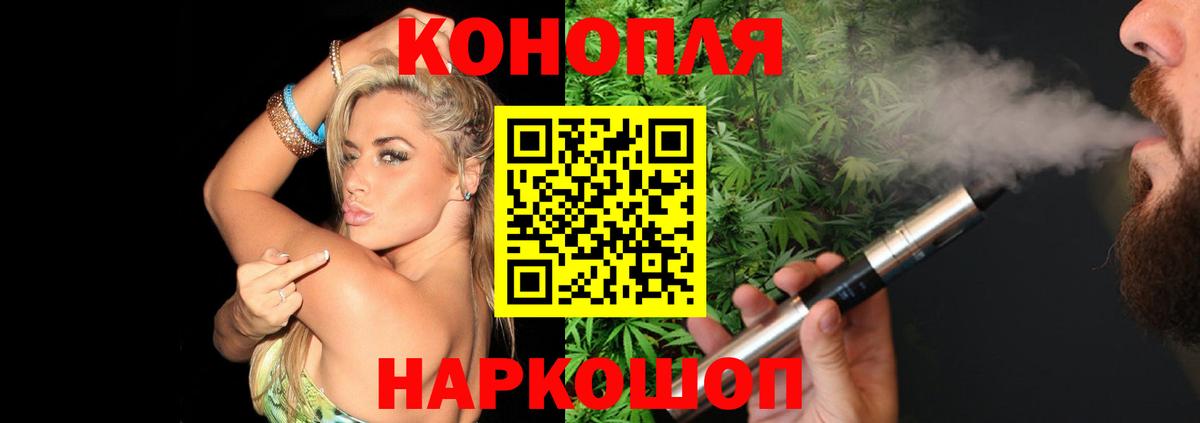 Бошки Шишки планчик Ртищево